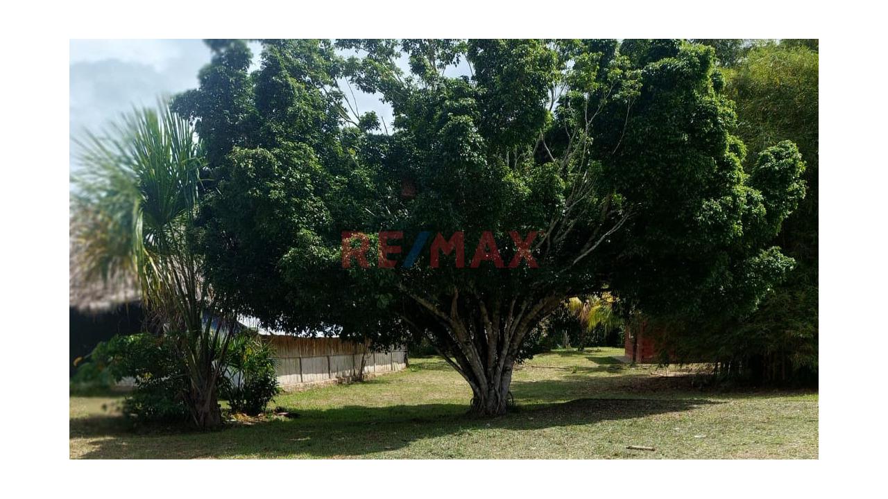 Terreno En Venta En Fundo Baviera – Padre Cocha, Loreto - 4