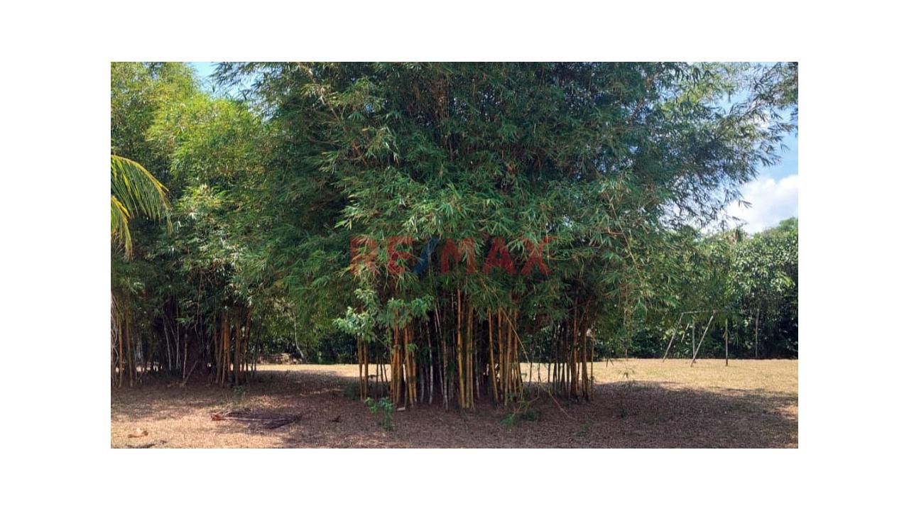 Terreno En Venta En Fundo Baviera – Padre Cocha, Loreto - 18