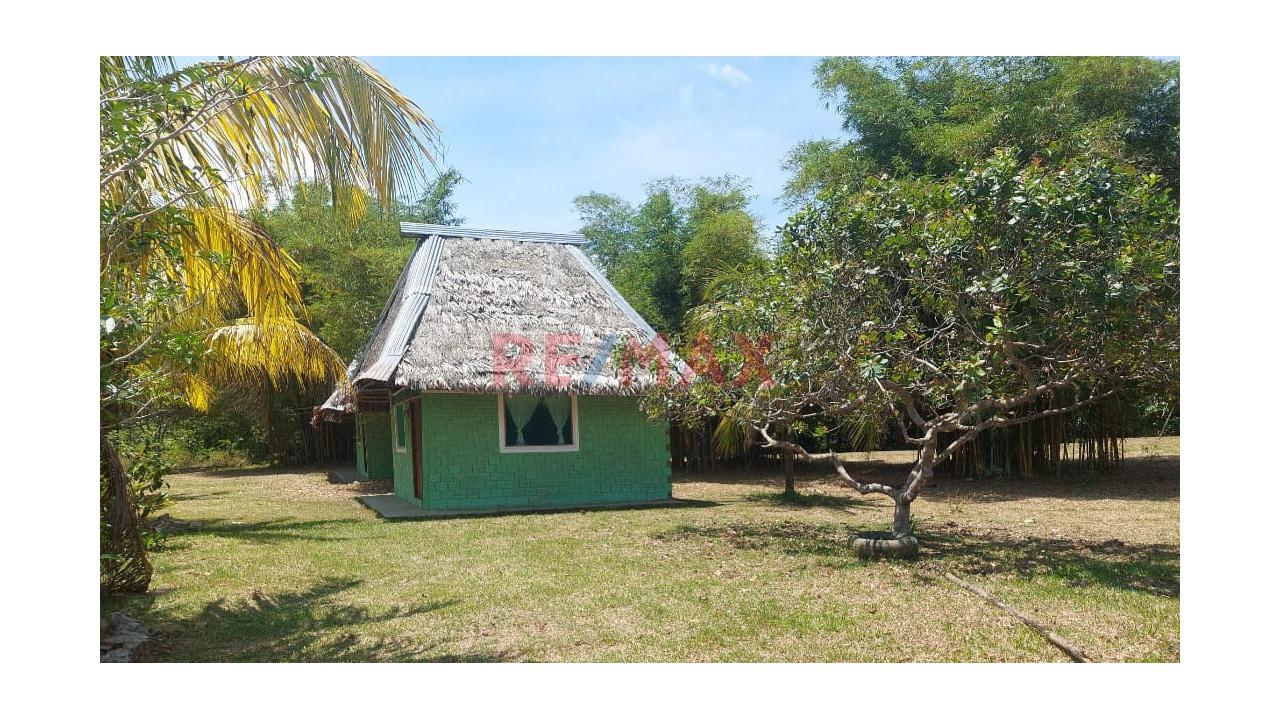 Terreno En Venta En Fundo Baviera – Padre Cocha, Loreto - 20