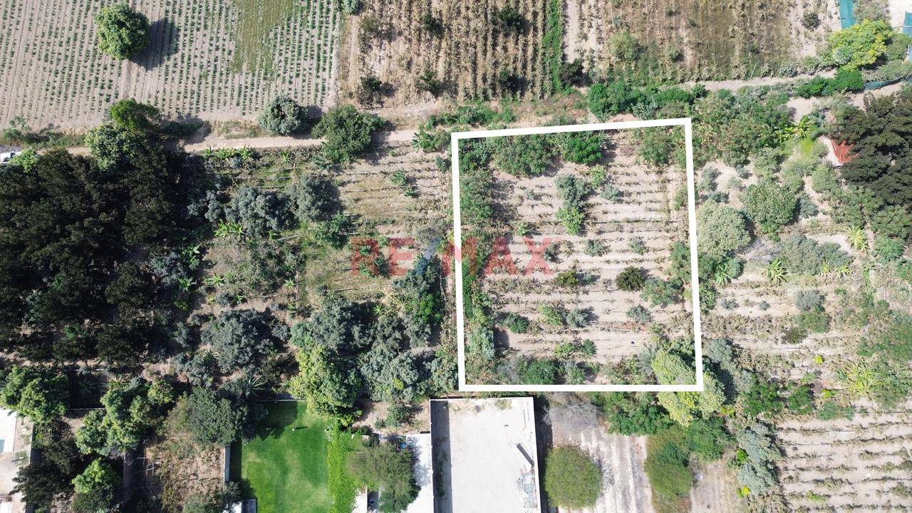 Amplio Terreno Urbano De 1,442 M² En Los Arrabales – Subtanjalla, Ica - 3