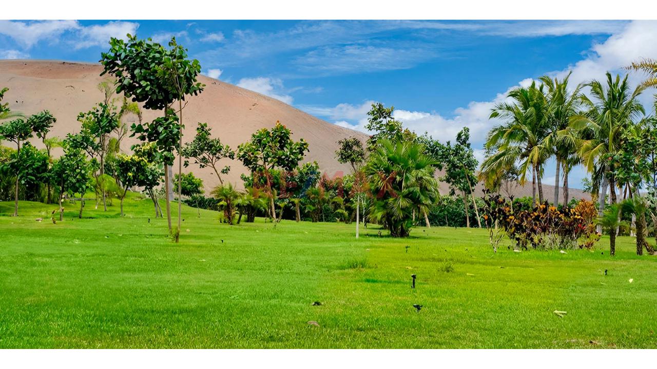 Vendo Terreno De 300.07M² En Mala - Cañete — foto 12