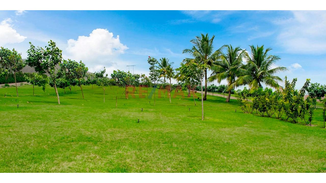 Vendo Terreno De 300.07M² En Mala - Cañete — foto 11