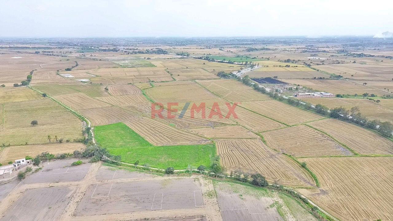 Terreno En Venta - En Las Lomas - Pueblo Nuevo - Ferreñafe De 7.3Ha - 3