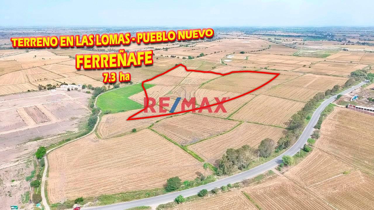 Terreno En Venta - En Las Lomas - Pueblo Nuevo - Ferreñafe De 7.3Ha - 1