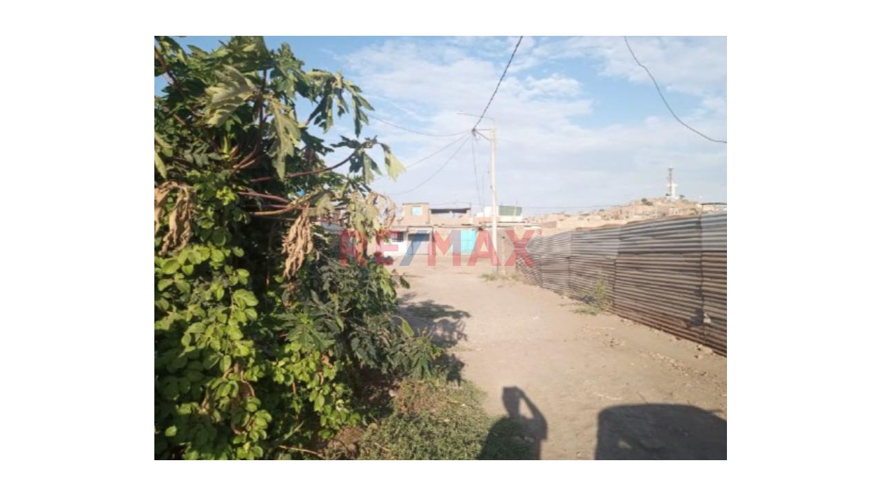 🌴✨ ¡Oportunidad De Inversión En Pimentel! ✨🌴Venta De Terreno — foto 2