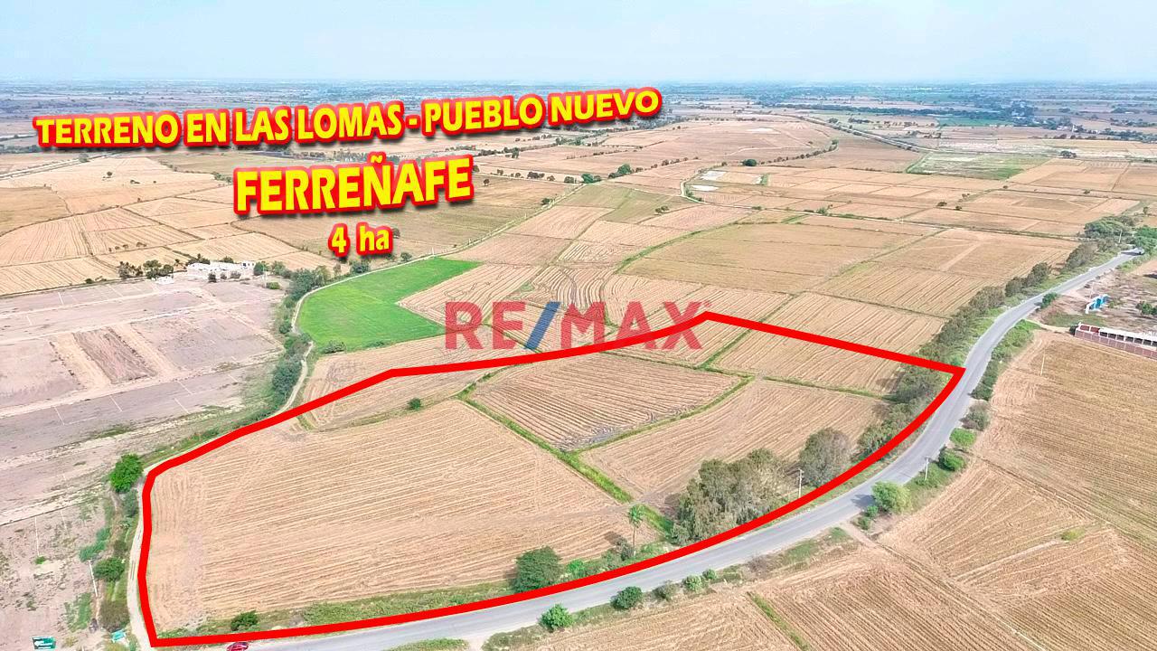 Terreno En Venta - En Las Lomas - Pueblo Nuevo - Ferreñafe De 4 Ha - 1