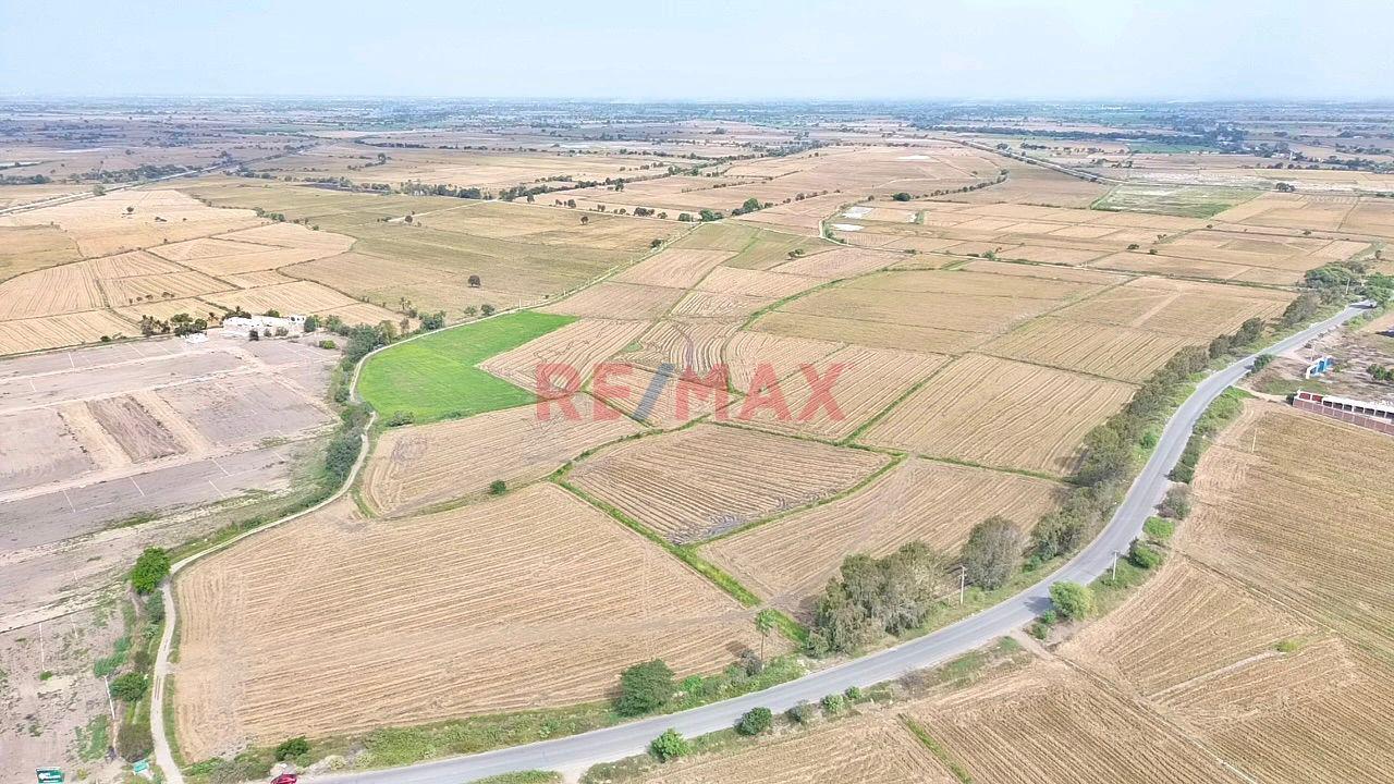 Terreno En Venta - En Las Lomas - Pueblo Nuevo - Ferreñafe De 4 Ha - 3