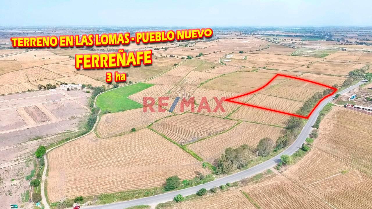 Terreno En Venta - En Las Lomas - Pueblo Nuevo - Ferreñafe De 3 Ha - 1