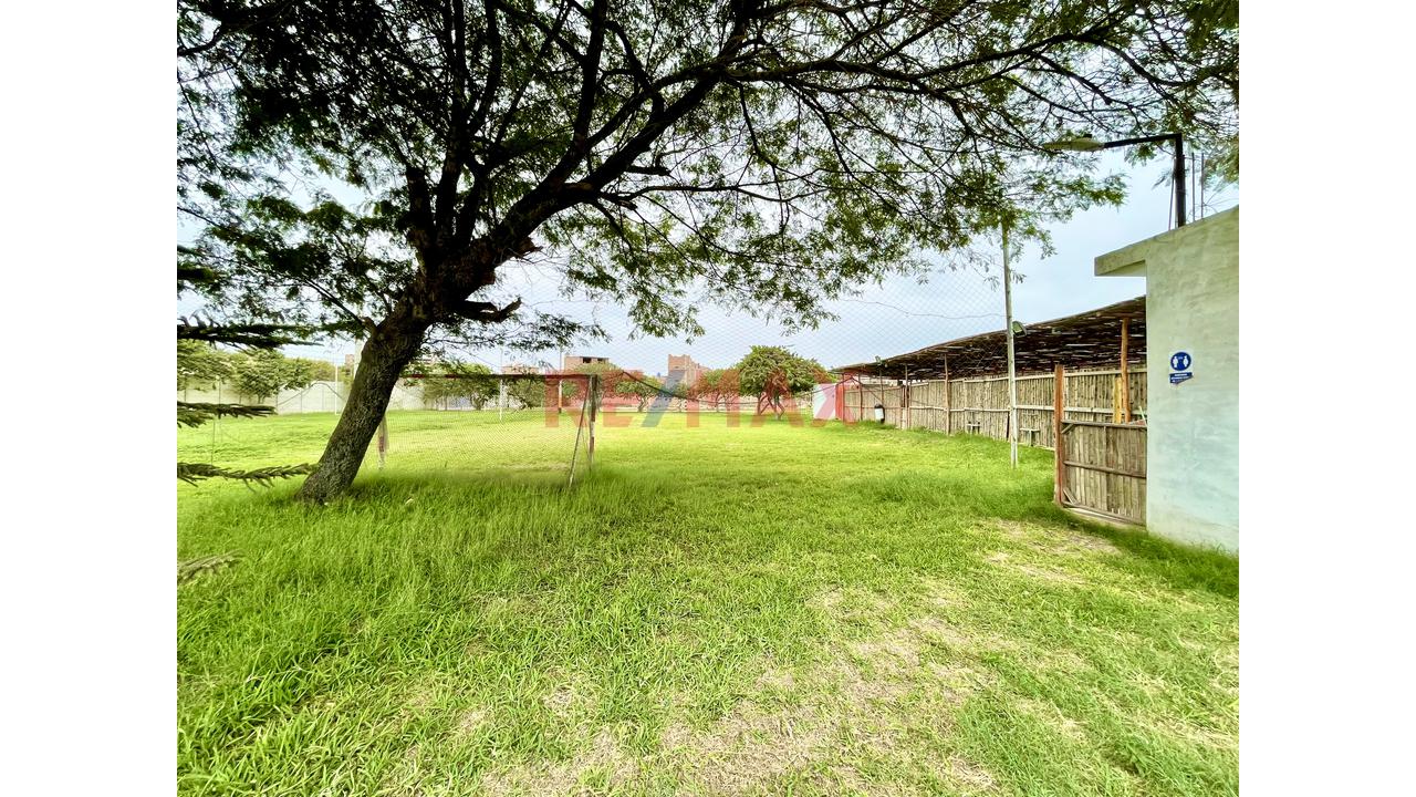 Lindo Terreno En Av Prol Bolognesi - Condominio Avidun — foto 7
