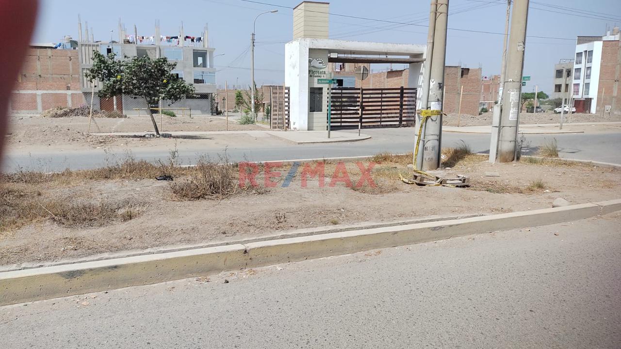 🏡 Venta De Terreno Urbano En Carabayllo 📍 Urb. Las Praderas De Carabayllo – 2Da Etapa — foto 11