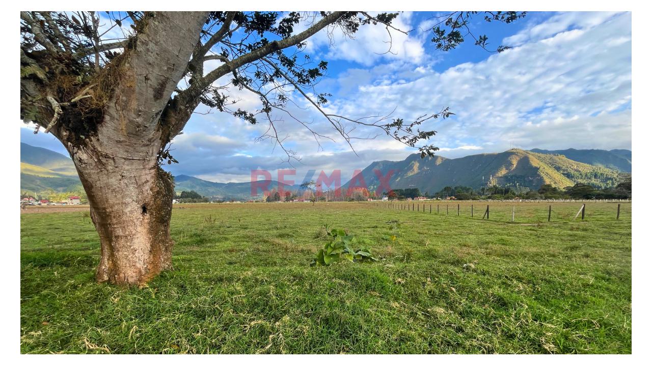 ¡Tu Terreno De Ensueño En Oxapampa Perú! - 5