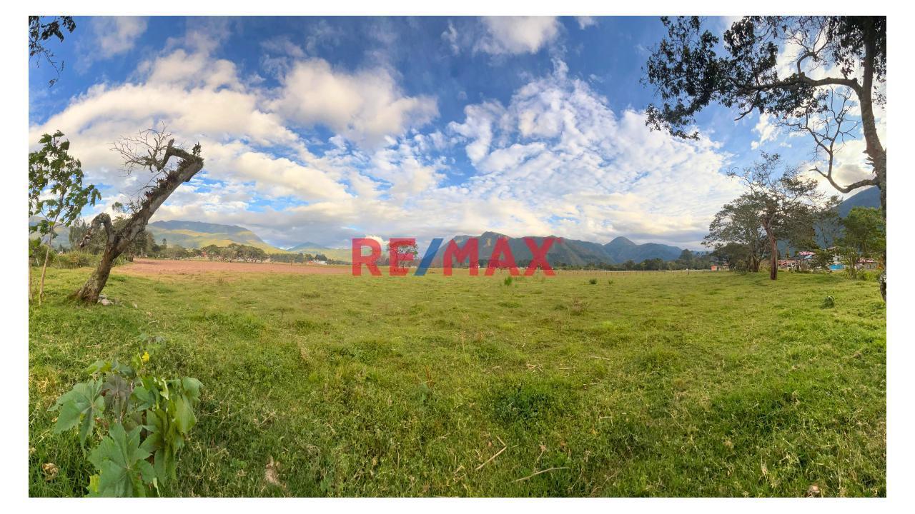 ¡Tu Terreno De Ensueño En Oxapampa Perú! - 1