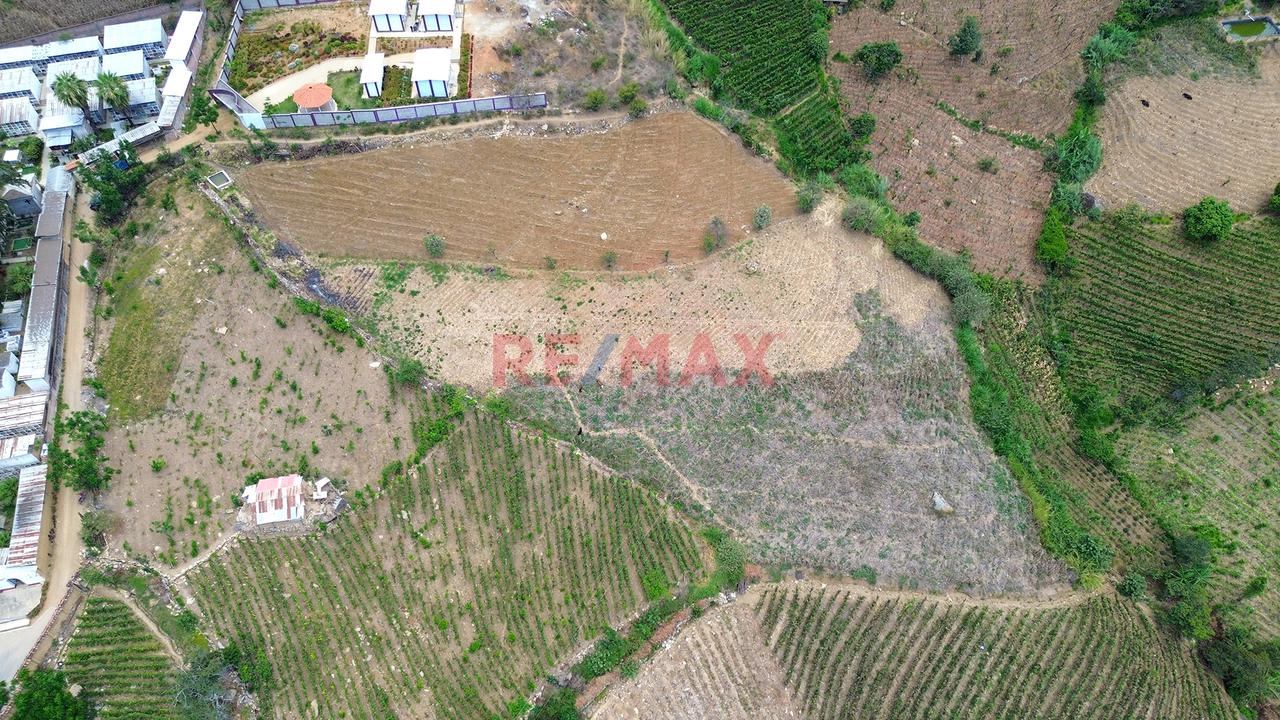 Terreno Agricola De 7300M2 En Venta En Cascas - 4