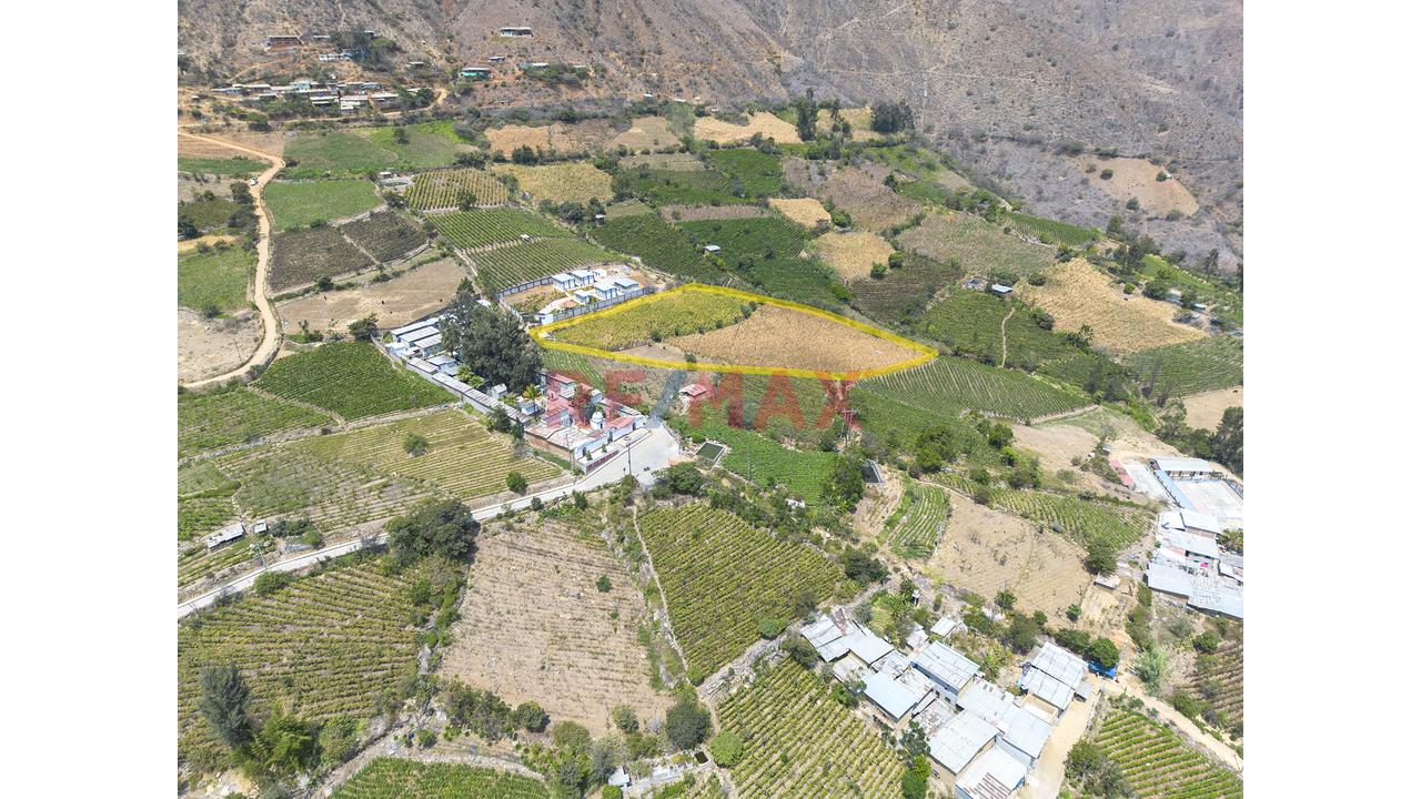 Terreno Agricola De 7300M2 En Venta En Cascas - 3