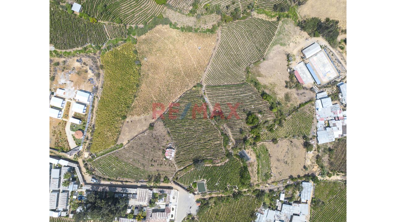 Terreno Agricola De 7300M2 En Venta En Cascas - 5