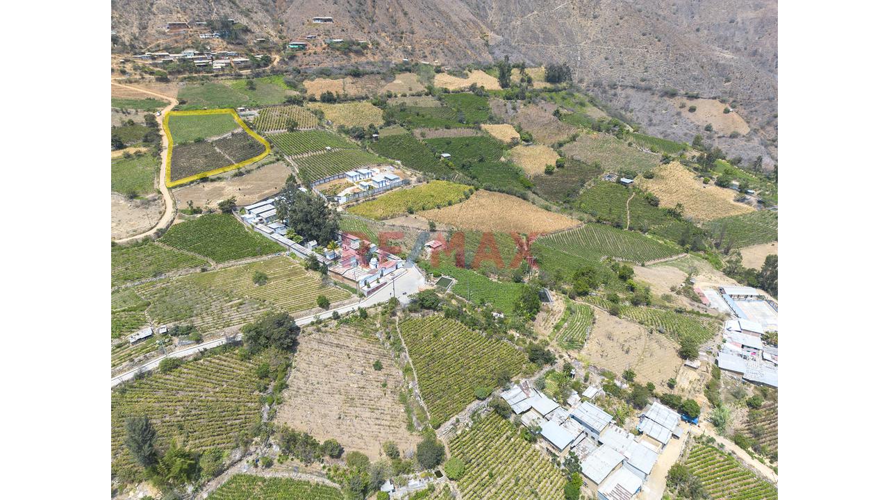 Terreno Agricola De 6800M2 En Venta En Cascas - 3