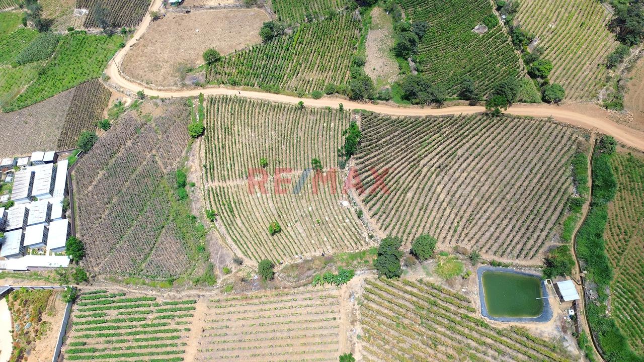 Terreno Agricola De 6800M2 En Venta En Cascas - 4