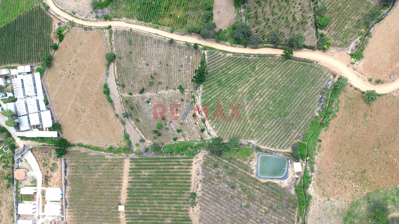 Terreno Agricola De 6800M2 En Venta En Cascas - 2