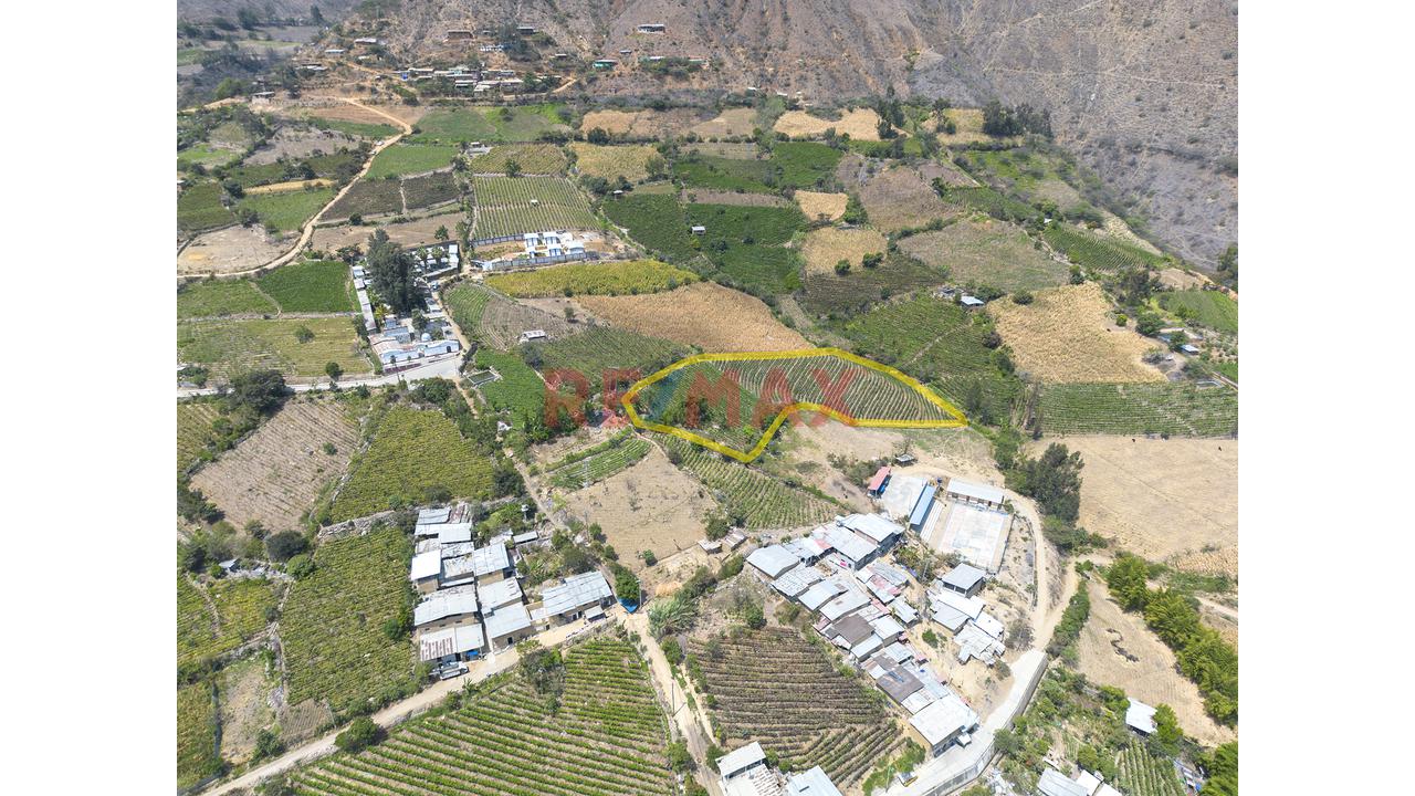 Terreno Agricola De 5700M2 En Venta En Cascas - 3