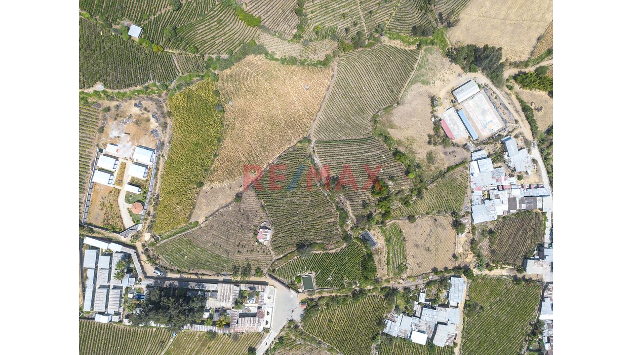 Terreno Agricola De 5700M2 En Venta En Cascas - 2