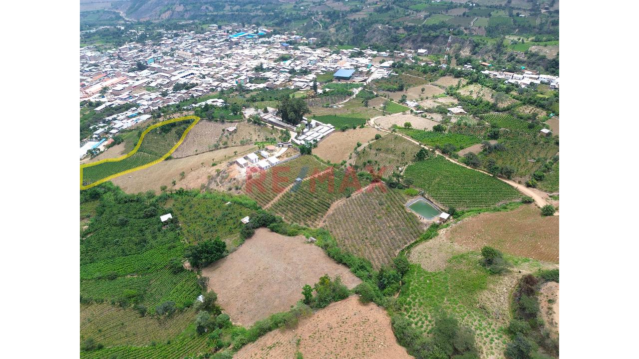 Terreno Agricola De 5700M2 En Venta En Cascas - 5