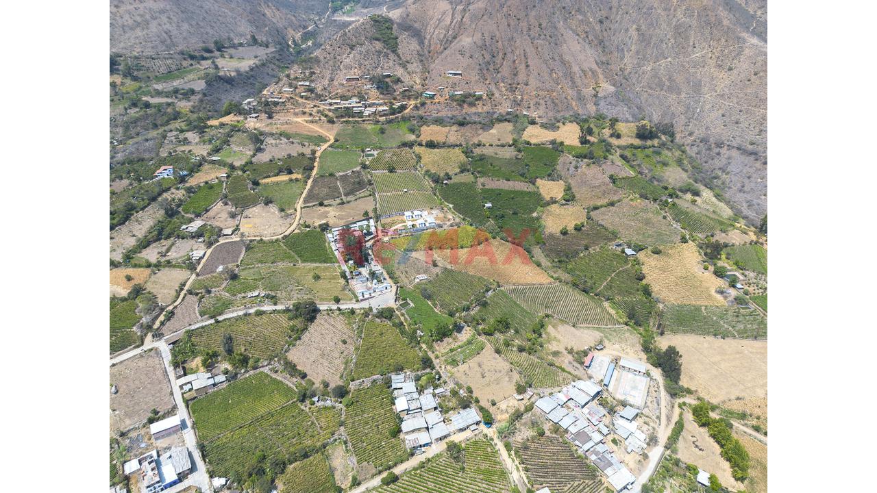 Terreno Agricola De 5700M2 En Venta En Cascas - 4