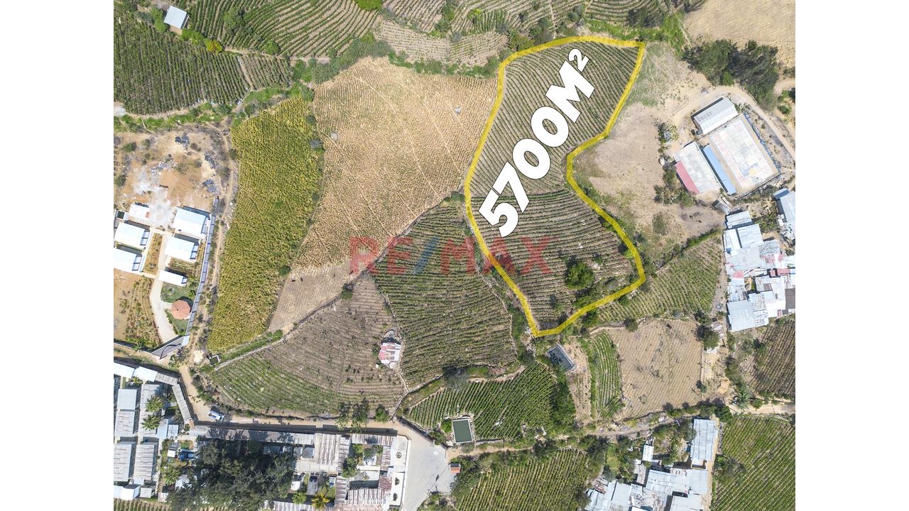 Terreno Agricola De 5700M2 En Venta En Cascas - 1