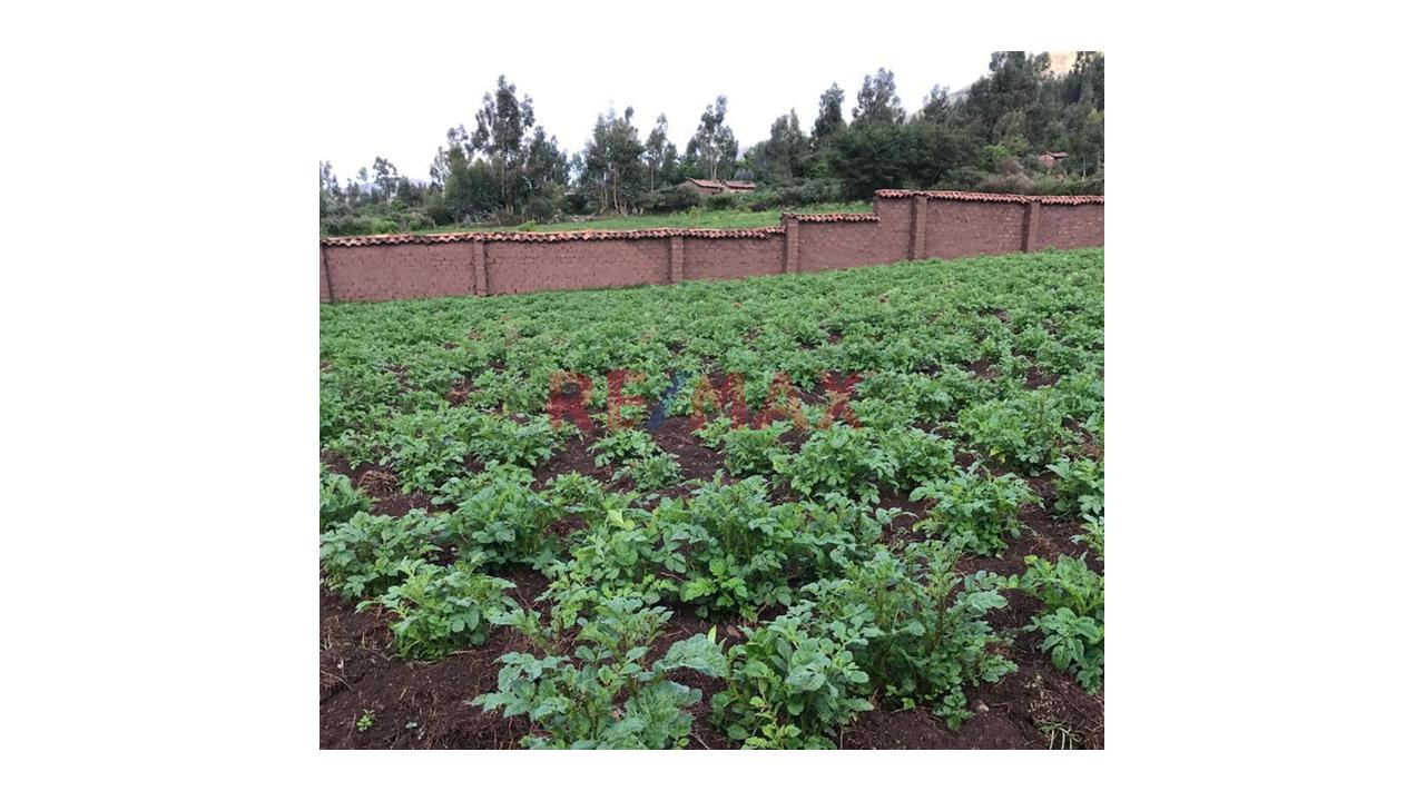 Oportunidad Única De Inversión:  Finca Lista Para Trabajar En Ancahuasi – Cusco — foto 4