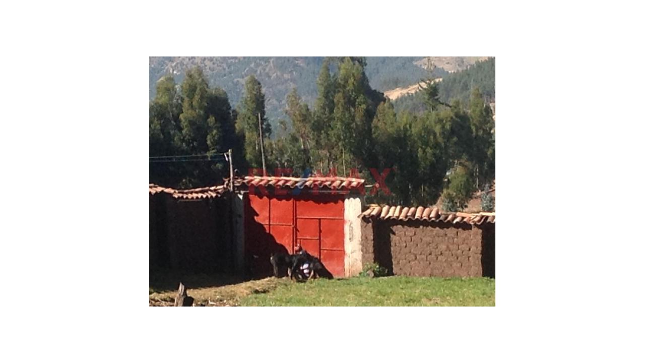Oportunidad Única De Inversión:  Finca Lista Para Trabajar En Ancahuasi – Cusco — foto 11