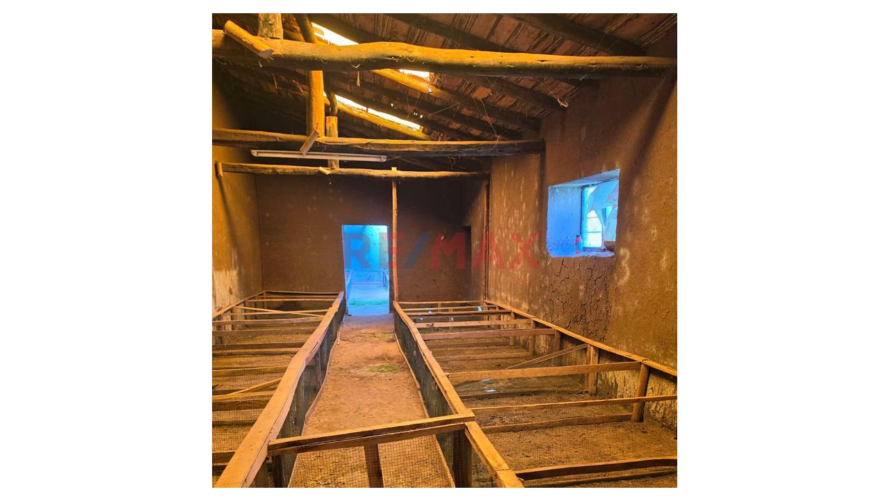 Oportunidad Única De Inversión:  Finca Lista Para Trabajar En Ancahuasi – Cusco — foto 6