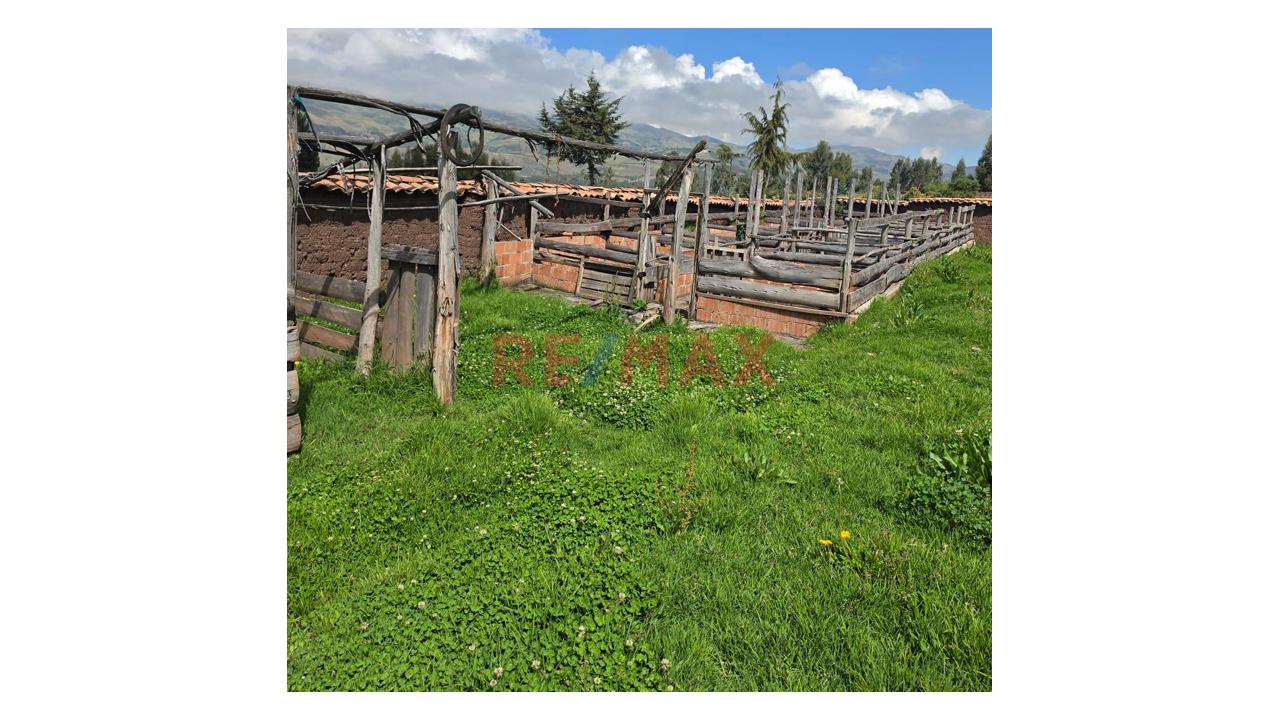 Oportunidad Única De Inversión:  Finca Lista Para Trabajar En Ancahuasi – Cusco — foto 2