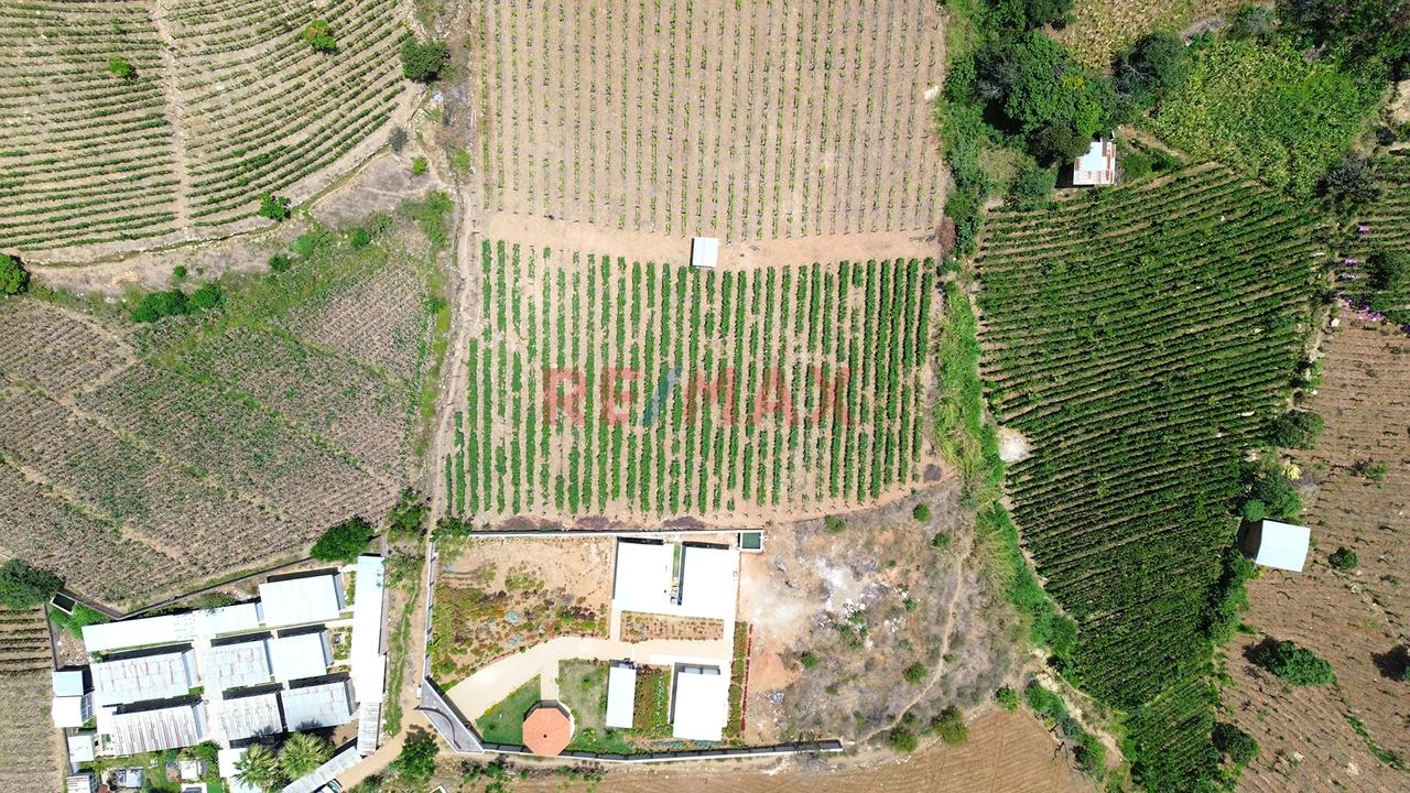Terreno Agricola De 2868M2 En Venta En Cascas - 2