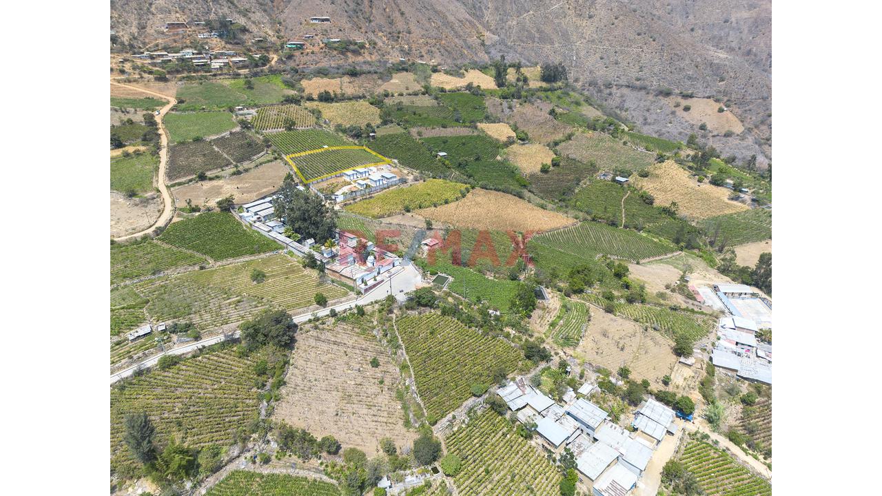 Terreno Agricola De 2868M2 En Venta En Cascas - 3