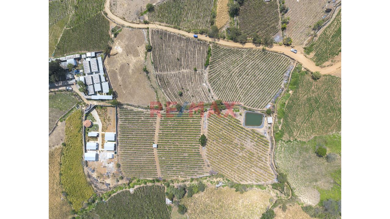 Terreno Agricola De 2868M2 En Venta En Cascas - 5