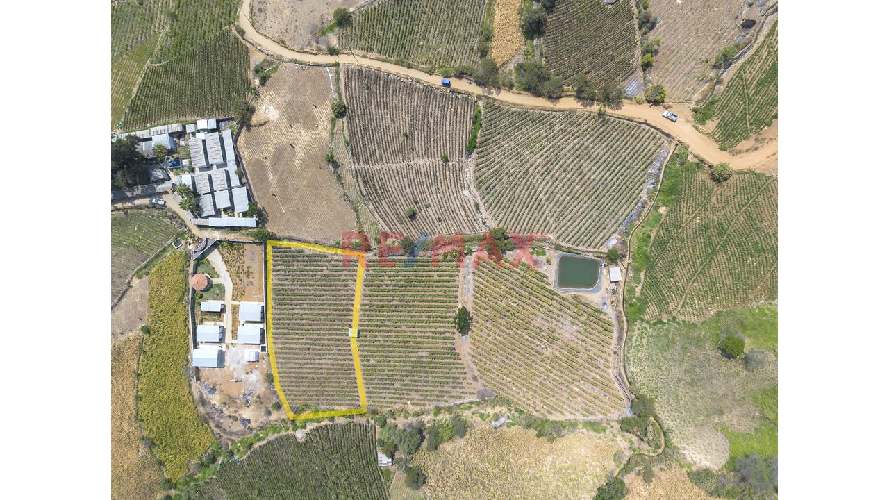 Terreno Agricola De 2868M2 En Venta En Cascas - 4