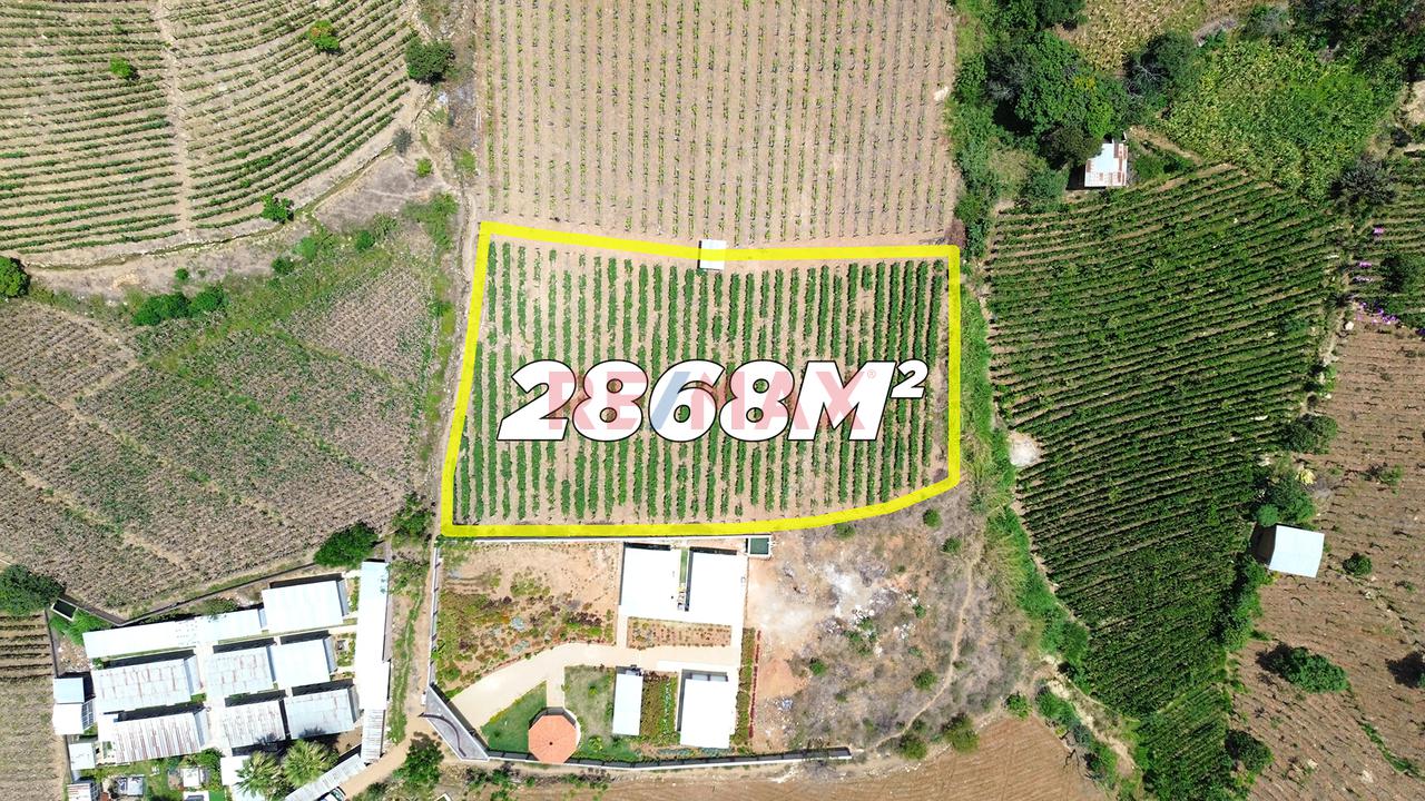 Terreno Agricola De 2868M2 En Venta En Cascas - 1