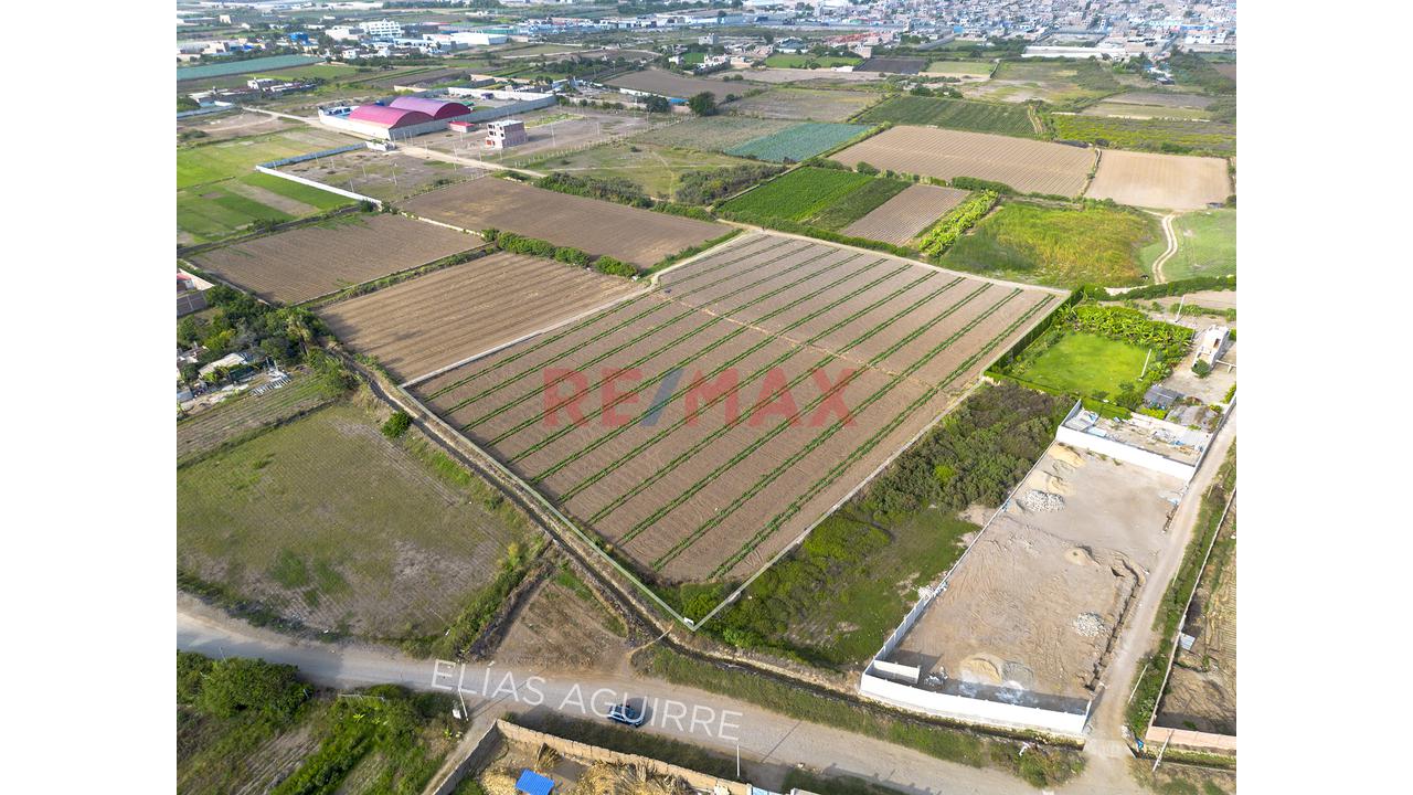 Terreno 1.53 Hectareas En Venta En Moche - 8