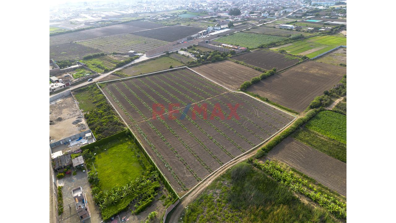 Terreno 1.53 Hectareas En Venta En Moche - 6