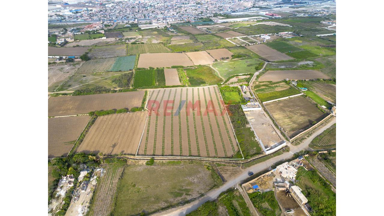 Terreno 1.53 Hectareas En Venta En Moche - 9