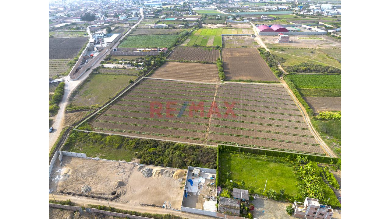 Terreno 1.53 Hectareas En Venta En Moche - 7