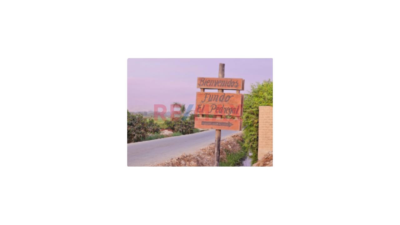 Venta De Lote De Terreno En Condominio El Pedregal San Vicente De Cañete - 6