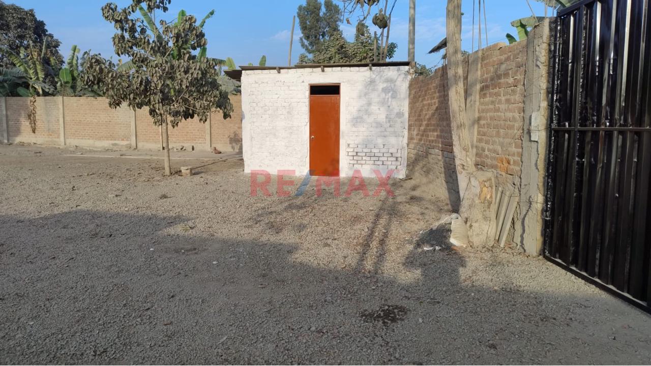 Terreno Comercial En Alquiler – Puente Piedra 📈🛠️ - 3