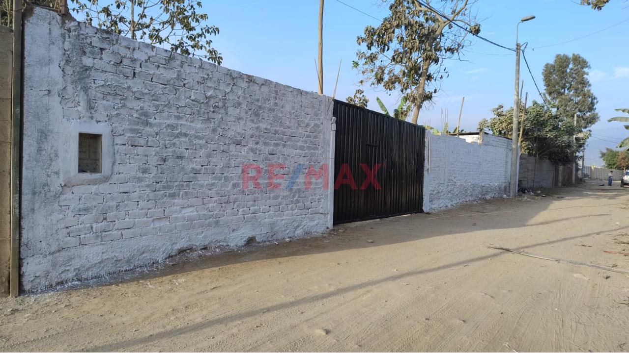 Terreno Comercial En Alquiler – Puente Piedra 📈🛠️ - 1
