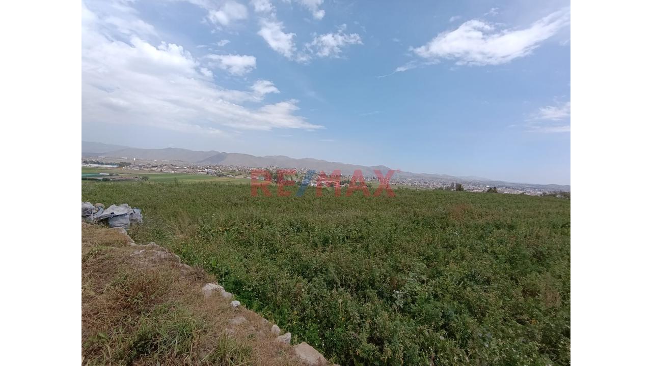 Venta Terreno Agricola En Paucarpata - 7