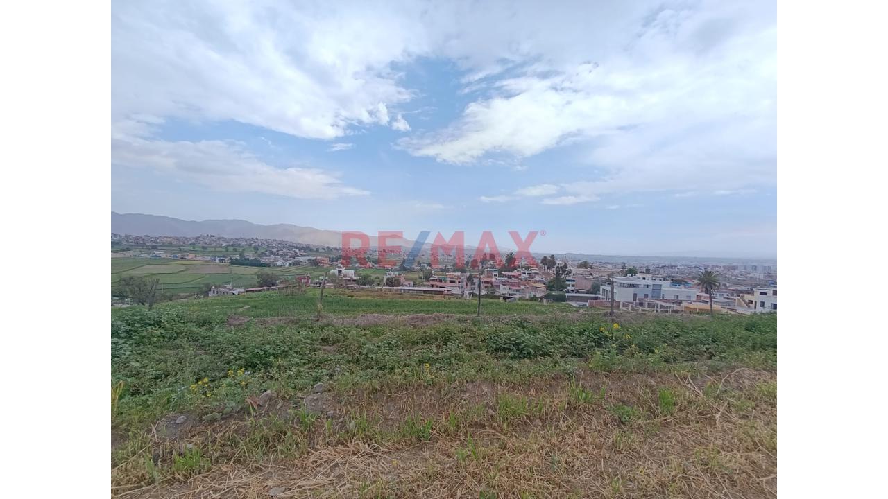 Venta Terreno Agricola En Paucarpata - 3