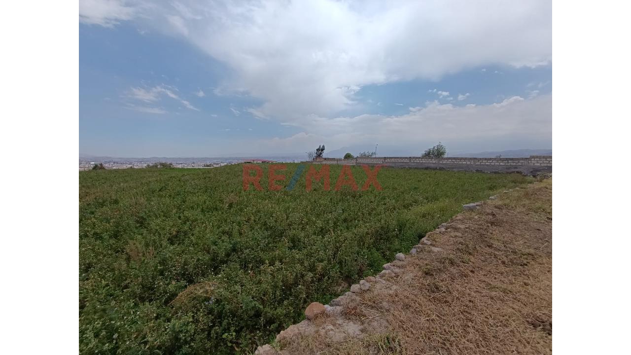Venta Terreno Agricola En Paucarpata - 9