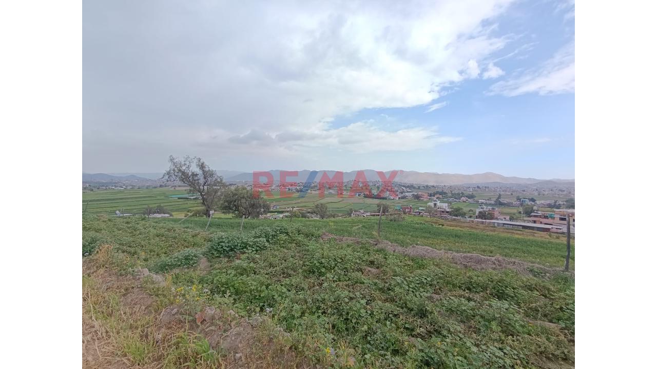 Venta Terreno Agricola En Paucarpata - 2