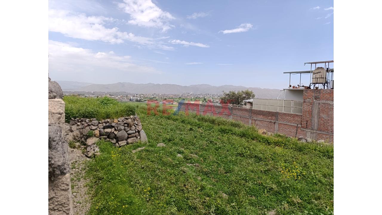 Venta Terreno Agricola En Paucarpata - 6