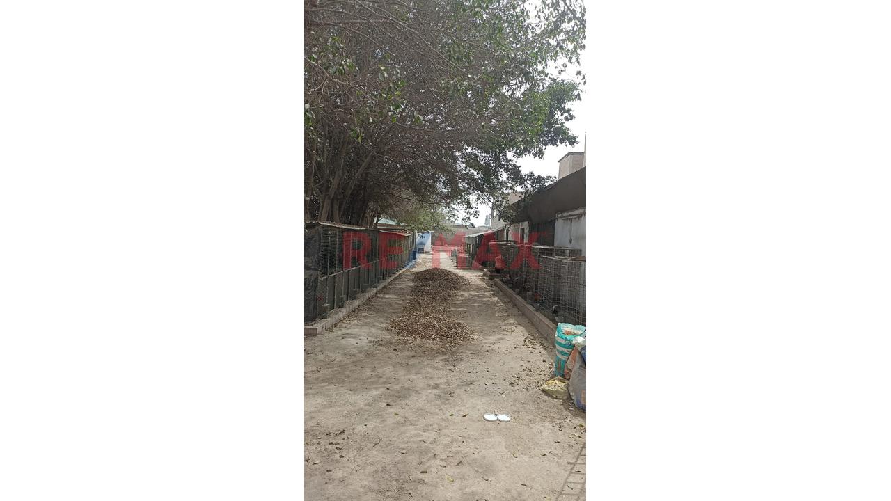Terreno Con Casa De Campo, Excelente Inversion, Ideal Para Proyecto Inmobiliario, Casa De Retiro, Almacenes. — foto 5