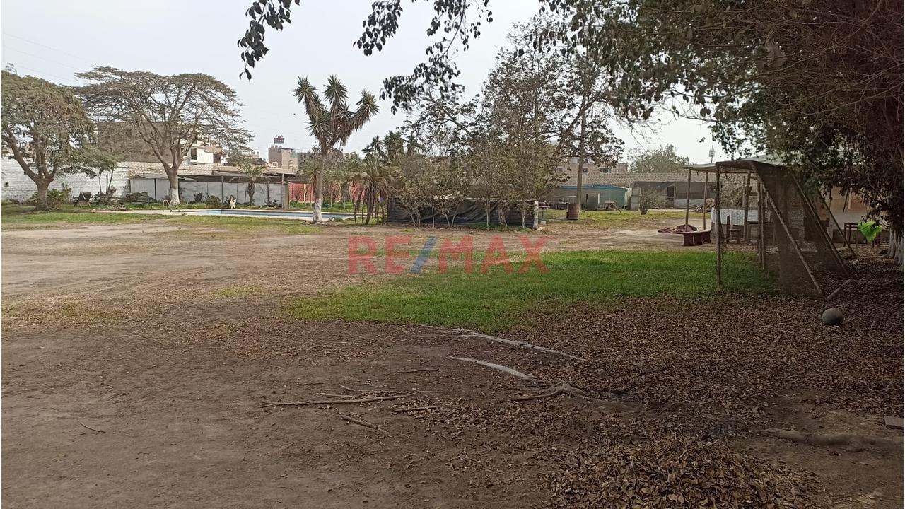 Terreno Con Casa De Campo, Excelente Inversion, Ideal Para Proyecto Inmobiliario, Casa De Retiro, Almacenes. — foto 8